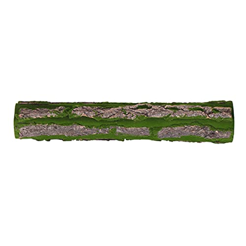 PEPLAYTAL Reptilien Korkrinde Terrarium Hintergrund Natürliche Kletterplattform Langlebig Wiederverwendbar Sichere Baumrinde Dekoration für Echsen Spinnen Reptilien Haustierterrarium von PEPLAYTAL