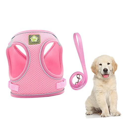 PEPLAYTAL Satz Reflektierender Welpen-brustgurt Geschirr Haustier Klein Leine Rosa von PEPLAYTAL