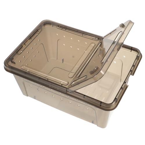 PEPLAYTAL Schildkröte amphore Turtle plasure vielzweckleiter die bescherung caakg Fish automatisch Tankplattform zum Sonnenbaden Zubehör Pumpe Futterspender Lebensraum für Reptilien Plastik von PEPLAYTAL