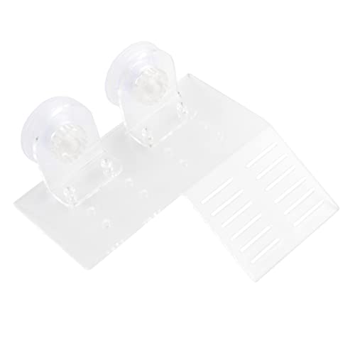 PEPLAYTAL Schildkröten Dock Transparente Basking Rampe mit Saugnäpfen S für Aquarien für Süß und Salzwasserumgebungen zu Reinigen und Optisch Ansprechend PEPLAYTAL Schildkröten Dock Transparente Basking Rampe mit Saugnäpfen S für Aquarien für Süß und Salzwasserumgebungen zu Reinigen und Optisch Ansprechend von PEPLAYTAL