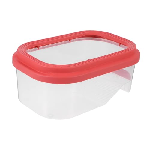 PEPLAYTAL Schildkrötenaquarium-Set, Wasserschildkrötenbecken Mit Sonnenplattform, Schildkröten-Starter-Set Für Kinder, Kleines Schildkrötenbecken Für Baby- Und Jungschildkröten von PEPLAYTAL