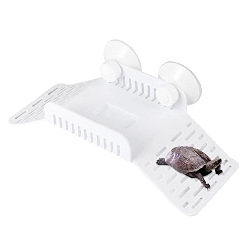 PEPLAYTAL Schildkrötenterrasse Schildkröten Sonnenpier Schildkrötenbecken Aquarium Große Schildkröten Sonnenplattform Outdoor Kletterterrarium Schildkrötenzubehör Schildkrötenpool von PEPLAYTAL