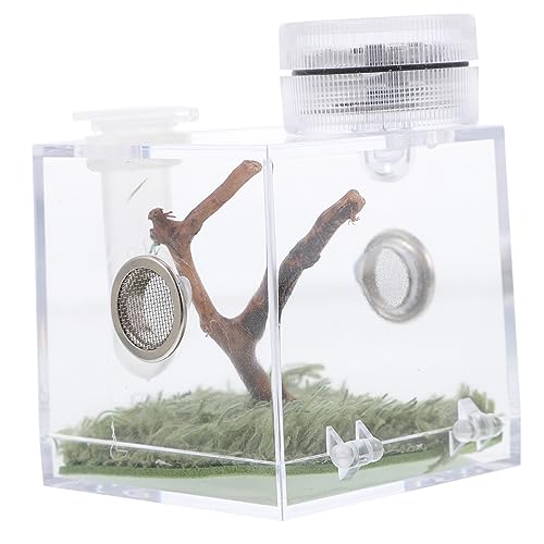 PEPLAYTAL Spider Habitat Box aus Hochwertigem Material mit Klarem Sichtfenster Praktischer Futteröffnung und Beleuchtung für Kleine Springspinnen und Insekten Einfach zu Reinigen und von PEPLAYTAL