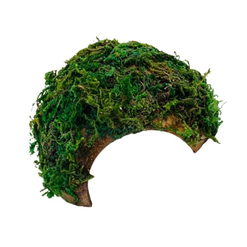 PEPLAYTAL Terrarium Dekoration für Eidechsen und Schildkröten Versteck für Haustiere Krabbelplattform Sicheres für Reptilien und Kleine PEPLAYTAL Terrarium Dekoration für Eidechsen und Schildkröten Versteck für Haustiere Krabbelplattform Sicheres für Reptilien und Kleine von PEPLAYTAL