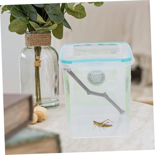 PEPLAYTAL Transparente Gottesanbeterin Fütterungsbox aus Robustem Kunststoff Atmungsaktives Terrarium für Spinnen Grillen und Kleine Reptilien Tragbarer Mantishabitat Inkubator mit Klarem von PEPLAYTAL