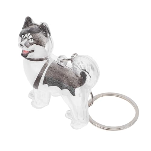 PEPLAYTAL Transparente Hundememorabilien Box mit Sicherem Verschluss Kleiner Leichter Haarsammler Schlüsselanhänger Langlebiger Schutz Tragbar für Hundehaar Aufbewahrung für Hundeliebhaber von PEPLAYTAL