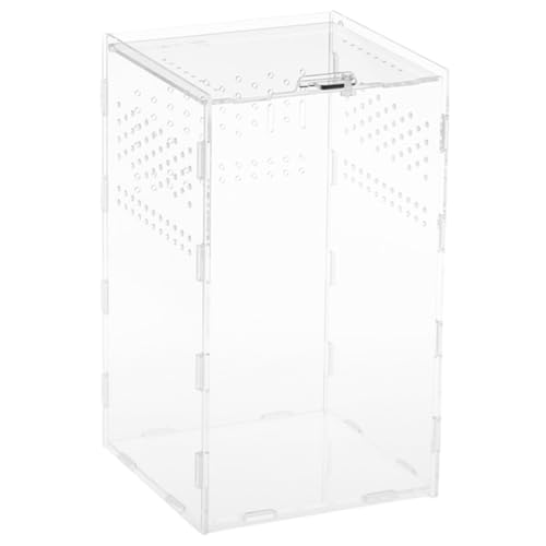 PEPLAYTAL Transparente Reptilien Aufzuchtbox Magnetisch Stapelbar Robust und Lichtdurchlässig Geeignet für Echsen Spinnen Schildkröten Schlangen und Kleine Kriechtiere von PEPLAYTAL