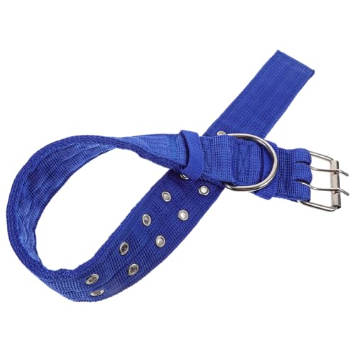 PEPLAYTAL Verstellbares Haustierhalsband aus Baumwollfaser Komfortabel und Sicher Geeignet für Hunde Katzen und Kleine Haustiere Design in Blau XL von PEPLAYTAL