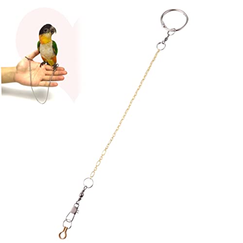 PEPLAYTAL Vögel Fußkettchen Papagei Groß Zubehör Vogelgeschirr Kette Fußkettchen Für Vögel Silver von PEPLAYTAL