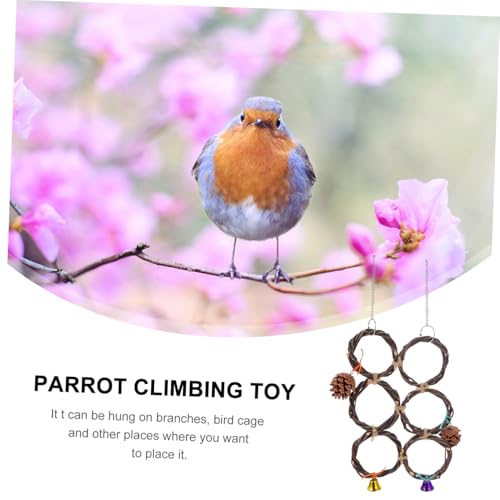 PEPLAYTAL Vogelspielzeug Hängender Papagei Kauspielzeug Schaukelring für Wellensittiche und Kleine Vögel Handgefertigter Apfelzweig käfiganhänger zum Klettern und Beißen Vögel Spielplatz von PEPLAYTAL