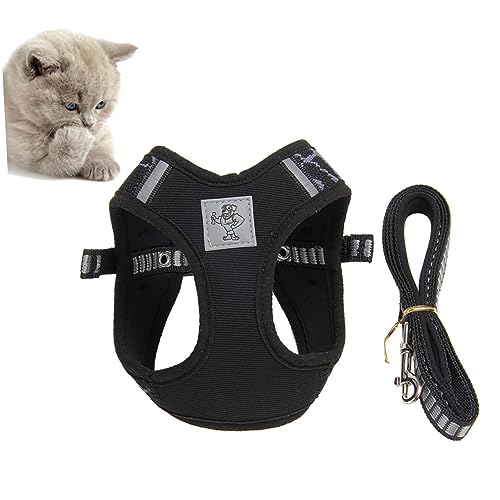 PEPLAYTAL Weiche Katzenleine Schwarz XXX Leicht Im Freien Drinnen Mittel Haustier Hallo Zubehör Geschirr Leine Für Katzen Brustgurt Für Katzen Katzenträger Black PEPLAYTAL Weiche Katzenleine Schwarz XXX Leicht Im Freien Drinnen Mittel Haustier Hallo Zubehör Geschirr Leine Für Katzen Brustgurt Für Katzen Katzenträger Black von PEPLAYTAL