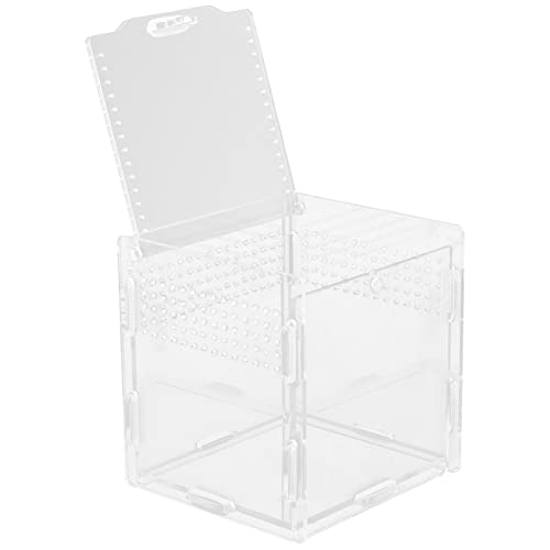 PEPLAYTAL klare Futterboxen bärtiger Drachenfuttermittel Zuchtbecken für Aquarien Gecko Terrarium Easy putz Lebensraum Futterboxen Klarsichtboxen für Reptilien Acryl Transparent von PEPLAYTAL