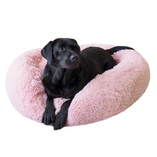 PEPPY BUDDIES Beruhigendes Premium-Hundebett + abnehmbare Kühlmatte, Donut-Hundebett, waschbar, ideal für kleine und große Hunde und Katzen & rundes Hundebett, mehrere Größen, leicht zu reinigen und PEPPY BUDDIES Beruhigendes Premium-Hundebett + abnehmbare Kühlmatte, Donut-Hundebett, waschbar, ideal für kleine und große Hunde und Katzen & rundes Hundebett, mehrere Größen, leicht zu reinigen und von PEPPY BUDDIES