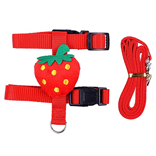 Geschirr und Leine, verstellbar, für kleine Tiere, Frettchen, Igel, Outdoor-Spaziergänge, Dekorationen Geschirr und Leine, verstellbar, für kleine Tiere, Frettchen, Igel, Outdoor-Spaziergänge, Dekorationen von PEPWE