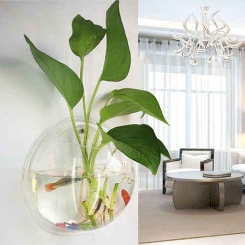 Wandvase, Wandmontage, Acryl, Blumenpflanze, Aquarium, 15 cm, 19,6 cm, 25,9 cm Wandvase, Wandmontage, Acryl, Blumenpflanze, Aquarium, 15 cm, 19,6 cm, 25,9 cm von PEPWE