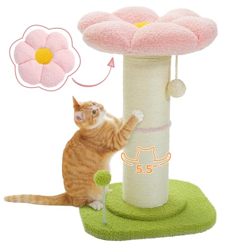 PEQULTI Blumenkratzbaum, kleiner Baum, hoher Kratzbaum für Indoor-Katzen mit super dickem Pfosten, Durchmesser = 14 cm, abnehmbares Blumenbeet, Kratzbaum mit Federball, Rosa PEQULTI Blumenkratzbaum, kleiner Baum, hoher Kratzbaum für Indoor-Katzen mit super dickem Pfosten, Durchmesser = 14 cm, abnehmbares Blumenbeet, Kratzbaum mit Federball, Rosa von PEQULTI