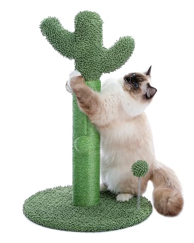 PEQULTI Katzenkratzbaum hoch für mittelgroße Katzen, Kaktus-Kratzbaum für Indoor-Katze, mit Spielzeugbällen, Federballfänger und vollständig umwickeltem starkem Sisalseil, Grün Medium von PEQULTI