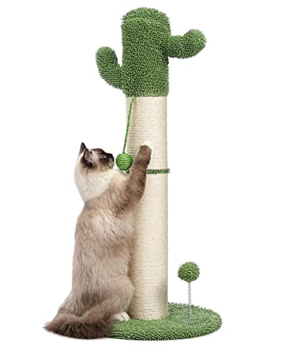 PEQULTI Kratzbaum für große Katzen, Kaktus-Kratzbaum für den Innenbereich, mit Spielzeugbällen, Federballfänger und vollständig umwickeltem starkem Sisalseil, weiß, groß von PEQULTI