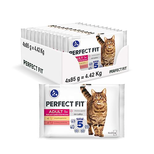 Perfect Fit Carne 4x85gr (13uds) von Perfect Fit