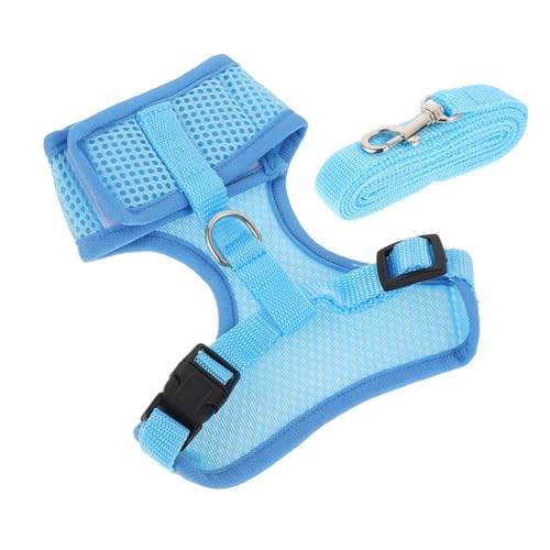 PERSELOSO 1 Satz Hühnerrucksack mit Verstellbarer Leine für Outdoor Aktivitäten für Hähne und Hennen aus Strapazierfähigem Material Blau PERSELOSO 1 Satz Hühnerrucksack mit Verstellbarer Leine für Outdoor Aktivitäten für Hähne und Hennen aus Strapazierfähigem Material Blau von PERSELOSO