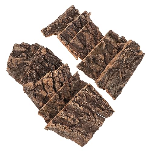 PERSELOSO 10 Stück Dekoration Aus Champagnerrinde Korkrinde Von Reptilien Kletterplattformen Für Schildkröten Reptilienterrarium Terrariendekor Reptil Bellen Korkenrinde Coffee Holz von PERSELOSO