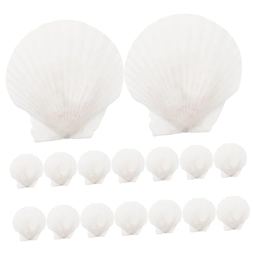 PERSELOSO 16stücke Natur Muscheln Basteln DIY Dekoration Für Tischparty Heimdeko Aquarium Schmuck PERSELOSO 16stücke Natur Muscheln Basteln DIY Dekoration Für Tischparty Heimdeko Aquarium Schmuck von PERSELOSO