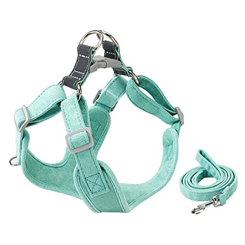 PERSELOSO 1satz Verstellbares Hundegeschirr Mit Robuster Leine Für Training Und Teiliges Mintgrün Langlebiges Hundezubehör Für Kleine Rassen PERSELOSO 1satz Verstellbares Hundegeschirr Mit Robuster Leine Für Training Und Teiliges Mintgrün Langlebiges Hundezubehör Für Kleine Rassen von PERSELOSO