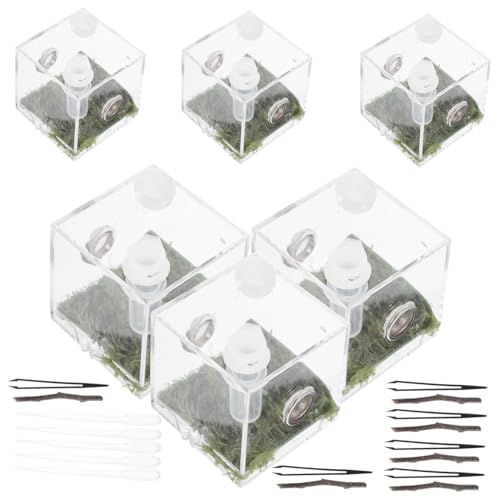 PERSELOSO 2 Sätze Springspinnen-zuchtbox Spinnen-streichspielzeug Netz Stabheuschrecke Haubengecko Terrarienset Futterspender Bausatz Frosch Pinzette Spider-Terrarium-kit Puzzle Fänger Acryl PERSELOSO 2 Sätze Springspinnen-zuchtbox Spinnen-streichspielzeug Netz Stabheuschrecke Haubengecko Terrarienset Futterspender Bausatz Frosch Pinzette Spider-Terrarium-kit Puzzle Fänger Acryl von PERSELOSO