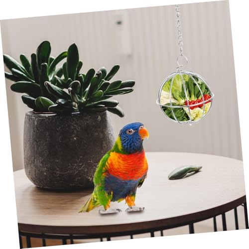 PERSELOSO 2 Stück Hühner Futterhalter Edelstahl Hängend Gemüse Obst Futterball Geflügelhalter für Frisches Futter im Stall PERSELOSO 2 Stück Hühner Futterhalter Edelstahl Hängend Gemüse Obst Futterball Geflügelhalter für Frisches Futter im Stall von PERSELOSO