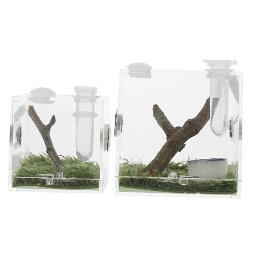 PERSELOSO 2Stücke Transparente Zuchtbox für Spinnen Langlebige Habitatbox für Jumping Spiders Leichtes Design zu Reinigen für Reptilien und Insektenzucht Sicher PERSELOSO 2Stücke Transparente Zuchtbox für Spinnen Langlebige Habitatbox für Jumping Spiders Leichtes Design zu Reinigen für Reptilien und Insektenzucht Sicher von PERSELOSO