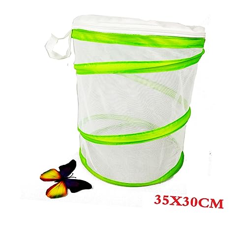 PERSELOSO Faltbares PVC Insektenkäfig Terrarium für Schmetterlinge und Atmungsaktives Netz Tragbar und Einfach zu Verstauen für Beobachtung von Insektenlebenszyklen PERSELOSO Faltbares PVC Insektenkäfig Terrarium für Schmetterlinge und Atmungsaktives Netz Tragbar und Einfach zu Verstauen für Beobachtung von Insektenlebenszyklen von PERSELOSO