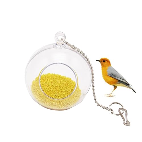 PERSELOSO Hängender Papageien Spielball Interaktives Futterspielzeug für Vögel Geeignet für Sittiche Nymphensittiche und Kleine Papageien für Käfig und Spielplatz PERSELOSO Hängender Papageien Spielball Interaktives Futterspielzeug für Vögel Geeignet für Sittiche Nymphensittiche und Kleine Papageien für Käfig und Spielplatz von PERSELOSO