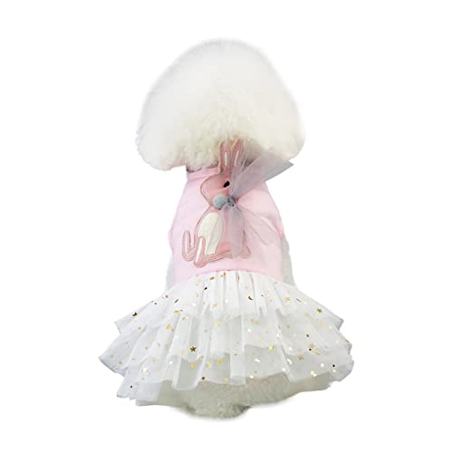 PERSELOSO Hundekleid Tutu Rock Aus Spitze Für Kleine Hunde Elegantes Kostüm Für Partys Und Fotoshootings PERSELOSO Hundekleid Tutu Rock Aus Spitze Für Kleine Hunde Elegantes Kostüm Für Partys Und Fotoshootings von PERSELOSO