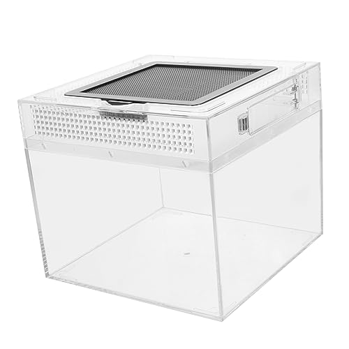 PERSELOSO Reptilien Brutbox Für Schildkröten Und Eidechsen Transparente Futterbox Mit Atmungsaktivem Tragbar Und Leicht Für Tierpflege Und Fütterung von PERSELOSO