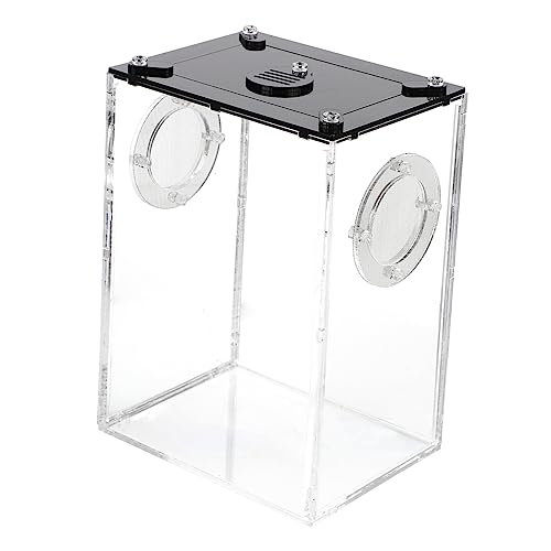 PERSELOSO Reptilien Zuchtbox aus Tragbare Transparente Terrarium für Eidechsen Schlangen Spinnen und Kleine Haustiere und Sichere Fütterungsbox für Zuhause PERSELOSO Reptilien Zuchtbox aus Tragbare Transparente Terrarium für Eidechsen Schlangen Spinnen und Kleine Haustiere und Sichere Fütterungsbox für Zuhause von PERSELOSO