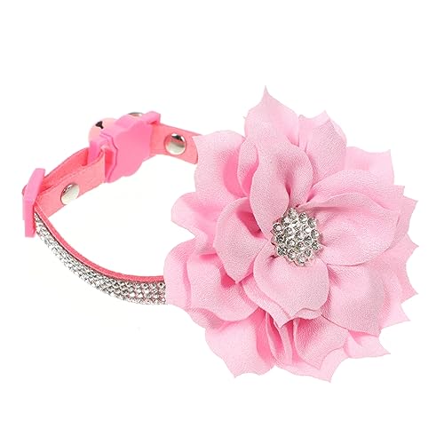 PERSELOSO Rhinestone Hundehalsband Verstellbares mit Glitzer für Welpen und Bequem und Langlebig Dekorativ für Haustiere Geeignet für Kleine Hunde Xs PERSELOSO Rhinestone Hundehalsband Verstellbares mit Glitzer für Welpen und Bequem und Langlebig Dekorativ für Haustiere Geeignet für Kleine Hunde Xs von PERSELOSO
