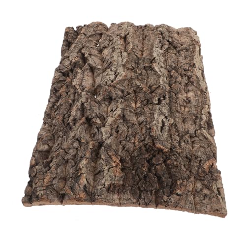 PERSELOSO Rinden Dekorationsbrett Bartagamen Aquarium Wand Reptilien Hintergrund Für Terrarium Krabbelgecko Klettergecko Holz Für Reptilienbecken Bartagamen Felsen von PERSELOSO