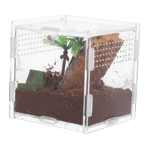 PERSELOSO Spinnenbox Für Haustiere Terrarium Schlangenbecken Spinnenkäfig Reptilienbecken Vogelspinnengehege Zubehör Für Spinnengehege Eidechsenkäfig Schildkrötenhabitat PERSELOSO Spinnenbox Für Haustiere Terrarium Schlangenbecken Spinnenkäfig Reptilienbecken Vogelspinnengehege Zubehör Für Spinnengehege Eidechsenkäfig Schildkrötenhabitat von PERSELOSO