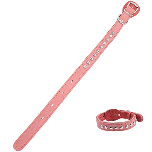 PERSELOSO Stylisches Hundehalsband aus Weichem Retro Design für Hunde Geeignet für Tägliches Tragen Partys Hochzeiten und Besondere Anlässe Breit Dekorativ und Sicher für Haustiere PERSELOSO Stylisches Hundehalsband aus Weichem Retro Design für Hunde Geeignet für Tägliches Tragen Partys Hochzeiten und Besondere Anlässe Breit Dekorativ und Sicher für Haustiere von PERSELOSO