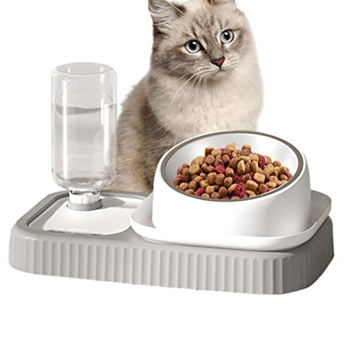 PERTID Katzenschüsseln, doppelte Schüsseln für Hunde und Katzen – geneigte Wasser- und Futternäpfe für Haustiere, aus Edelstahl mit Cipliko von PERTID