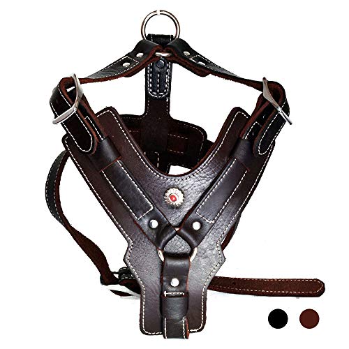 PESHOUCO Hundegeschirr aus Leder, handgefertigt, echtes Leder, langlebig, robust, mit verstellbaren Riemen, kein Ziehen, einfache Kontrolle, für mittelgroße und große Hunde, Dunkelbraun PESHOUCO Hundegeschirr aus Leder, handgefertigt, echtes Leder, langlebig, robust, mit verstellbaren Riemen, kein Ziehen, einfache Kontrolle, für mittelgroße und große Hunde, Dunkelbraun von PESHOUCO