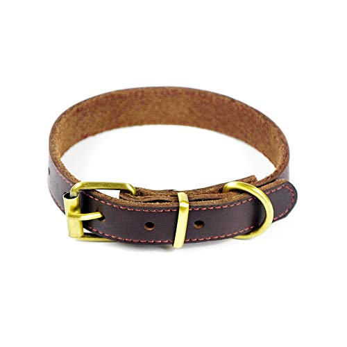 PESHOUCO Hundehalsband aus echtem Leder, Legierung, Hardware, D-Ring, Haustierhalsbänder für mittelgroße und kleine Hunde und Katzen, Braun PESHOUCO Hundehalsband aus echtem Leder, Legierung, Hardware, D-Ring, Haustierhalsbänder für mittelgroße und kleine Hunde und Katzen, Braun von PESHOUCO