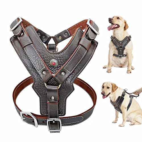 PET Artist Thick Leather Dog Harness for Medium and Large Dogs Walking Durable Soft for Pitbull Boxer Chest 60-70cm von PET ARTIST
