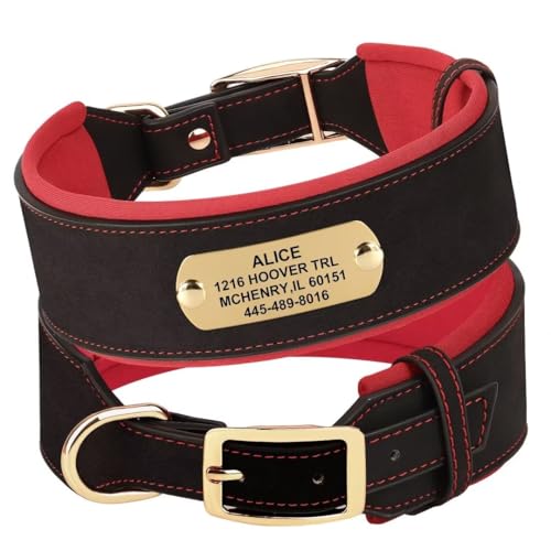 PET ARTIST Durable PU Leder gepolstertes Hundehalsband für mittlere große Hunde, anpassbar mit Name, Telefon und Adresse, Heavy Duty Metallschnalle PET ARTIST Durable PU Leder gepolstertes Hundehalsband für mittlere große Hunde, anpassbar mit Name, Telefon und Adresse, Heavy Duty Metallschnalle von PET ARTIST