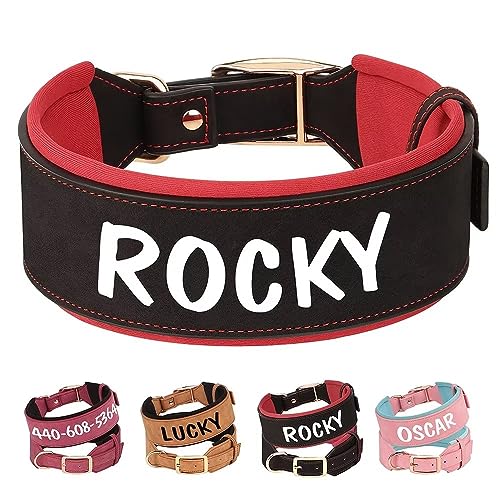 PET ARTIST Haltbares PU Leder Gepolstertes Hundehalsband für Mittlere Großen Hunde. Anpassbar mit Namen, Heavy Duty Metallschnalle, Geeignet für Pitbulls und Große Hunde, Schwarz M PET ARTIST Haltbares PU Leder Gepolstertes Hundehalsband für Mittlere Großen Hunde. Anpassbar mit Namen, Heavy Duty Metallschnalle, Geeignet für Pitbulls und Große Hunde, Schwarz M von PET ARTIST