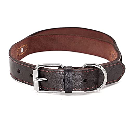 PET ARTIST Hundehalsband aus echtem Leder mit Griff, strapazierfähig für mittelgroße und große Hunde, Spaziergänge, Training, Boxer, Dobermann, Pitbull, Bulldogge PET ARTIST Hundehalsband aus echtem Leder mit Griff, strapazierfähig für mittelgroße und große Hunde, Spaziergänge, Training, Boxer, Dobermann, Pitbull, Bulldogge von PET ARTIST