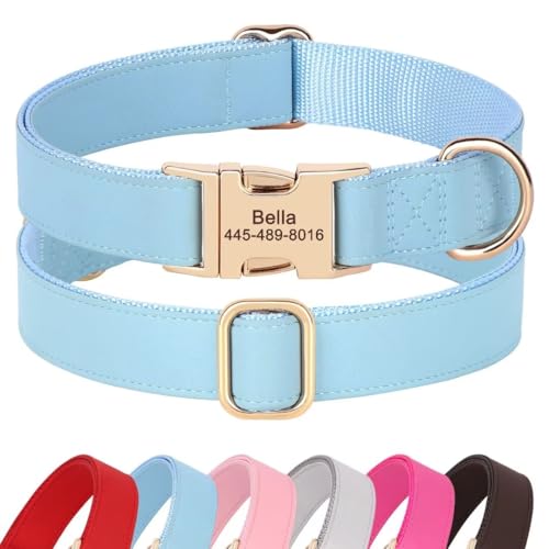 PET Artist personalisierte weiche Nylon Leder Hundehalsband stilvolle Elegante benutzerdefinierte Goldschnalle für kleine mittlere Hunde Blau M von PET ARTIST