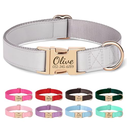 PET Artist personalisierte weiche Nylon Leder Hundehalsband stilvolle Elegante benutzerdefinierte Goldschnalle für kleine mittlere Hunde Grau M von PET ARTIST