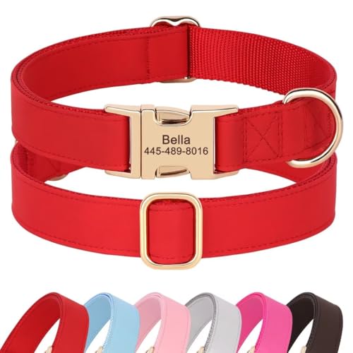 PET Artist personalisierte weiche Plain Nylon Leder Hundehalsband stilvolle Elegante benutzerdefinierte Goldschnalle für kleine mittlere Hunde Rot L von PET ARTIST