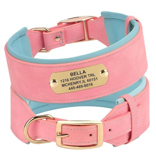 PET ARTIST Personalisierte PU-Leder Hundehalsband für mittlere große Hunde mit weich gepolstert Benutzerdefinierte gravierte Namensschild, Bequeme rosa Hundehalsband für Mädchen von PET ARTIST